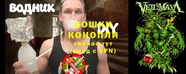 дживик Осинники