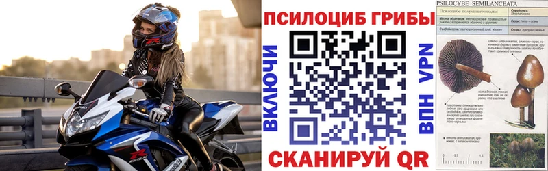 Галлюциногенные грибы мицелий  Изобильный 