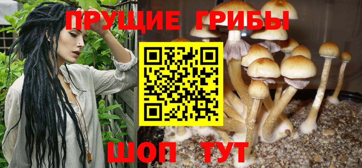 Псилоцибиновые грибы MAGIC MUSHROOMS  Псилоцибиновые грибы Psilocybe  Вход с VPN  Изобильный 