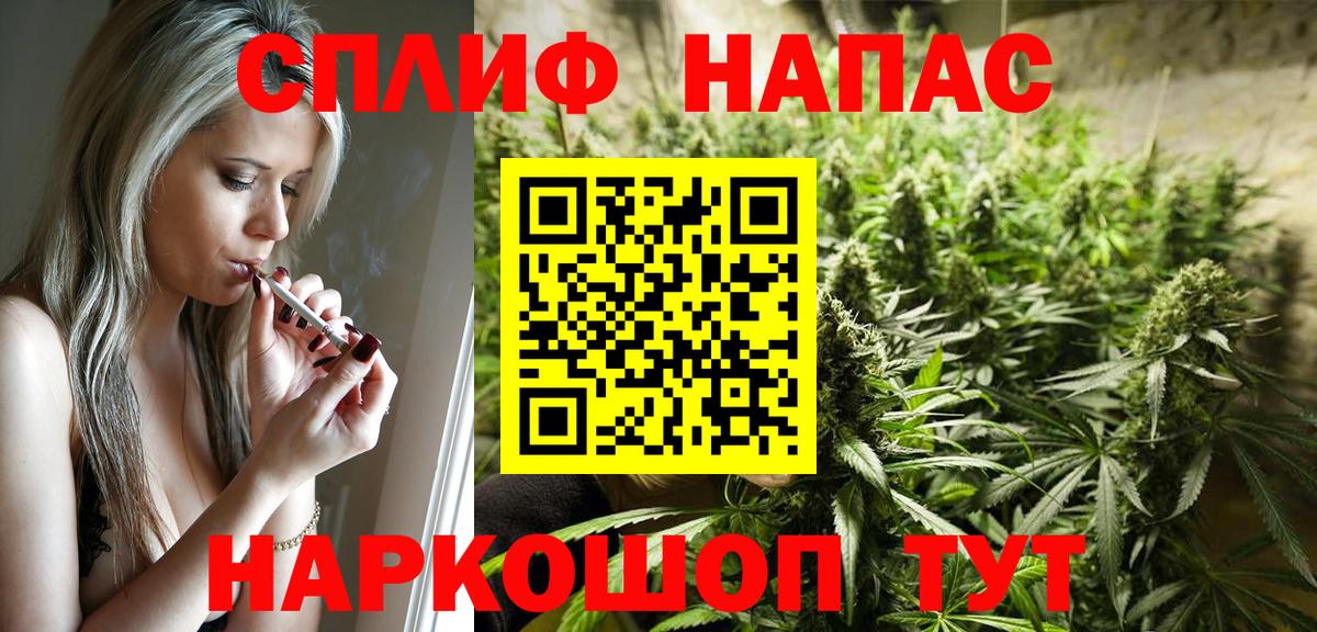 МАРИХУАНА конопля Изобильный